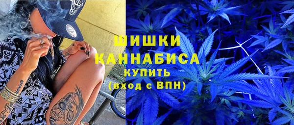 шишки Баксан