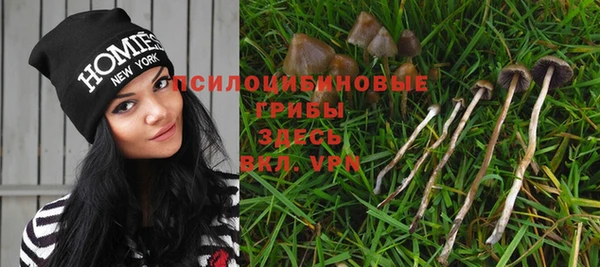 шишки Баксан