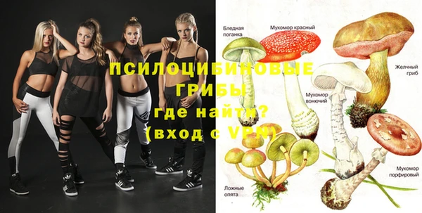 шишки Баксан