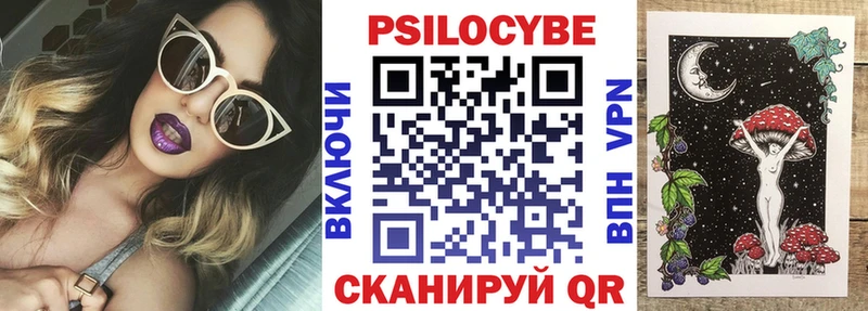наркота  Новочеркасск  Галлюциногенные грибы GOLDEN TEACHER 